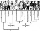 Как от одной семьи Ноя произошли все расы?